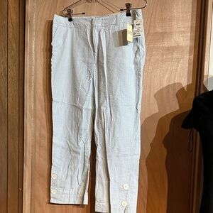 Zena Women's Light Blue striped Cropped Pants